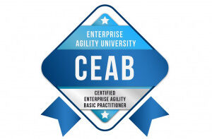 Certified Enterprise Agility Basics (CEAB)